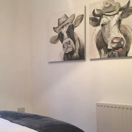 Durham Serviced Properties - The Sanctuary Room photo